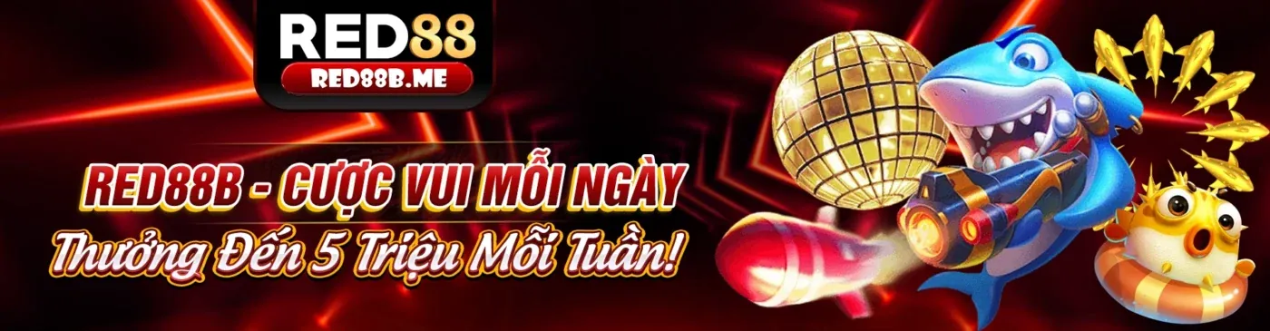 Giao diện ứng dụng 181bet trên điện thoại